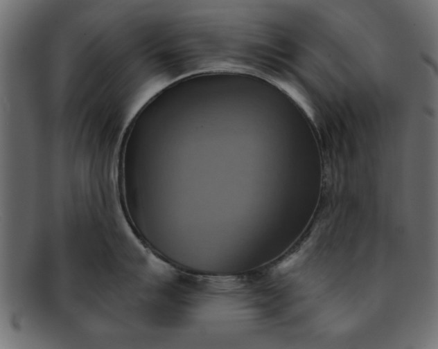 X0000091911007200709191316