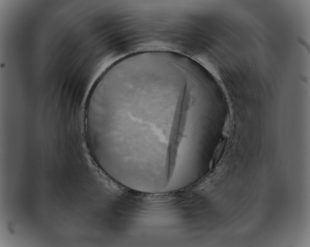 X0000091911008200709191316