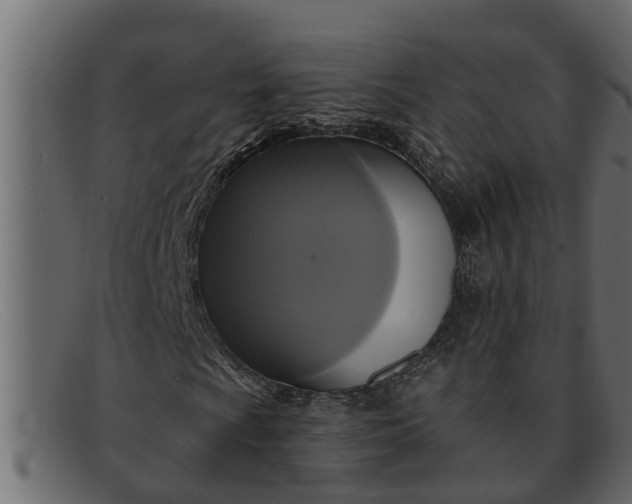 X0000091911009200709191316