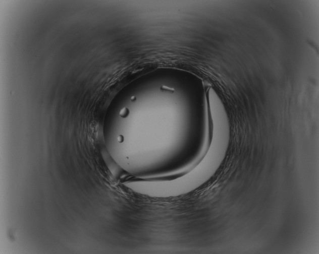 X0000091911010200709191316