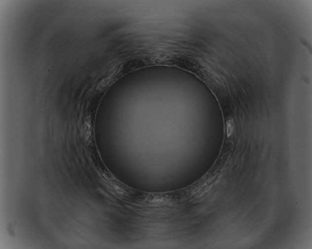 X0000091911011200709191316