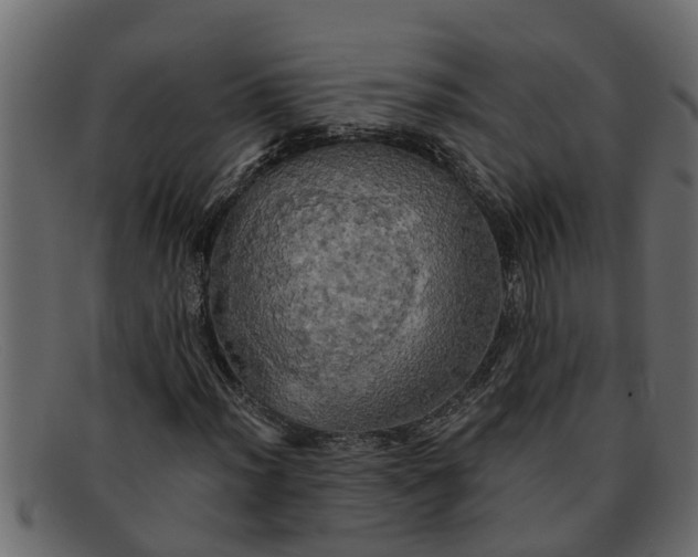 X0000091911012200709191316