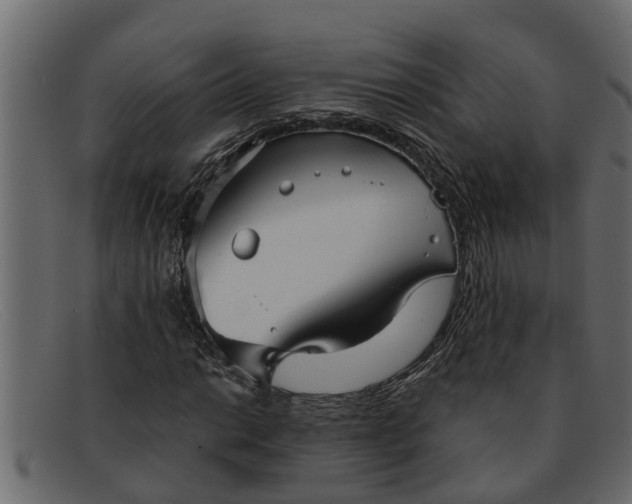 X0000091911014200709191316