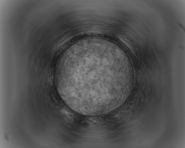 X0000091911015200709191316