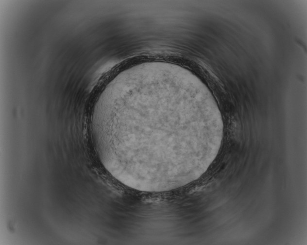 X0000091911016200709191316