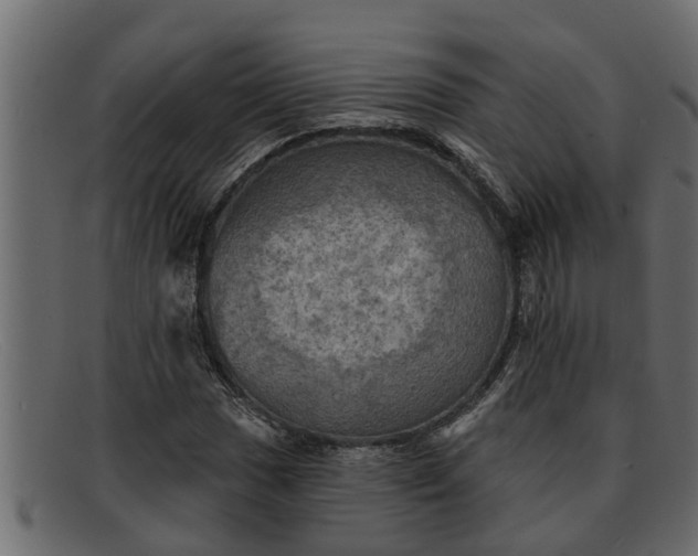 X0000091911017200709191316