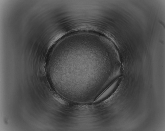 X0000091911018200709191316