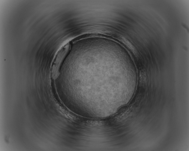 X0000091911020200709191316