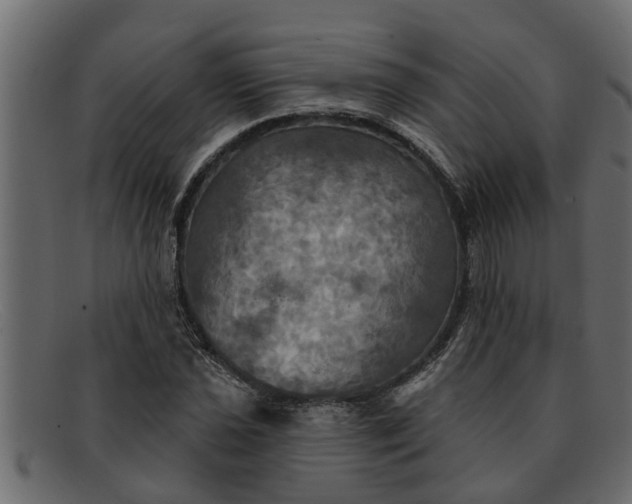 X0000091911021200709191316