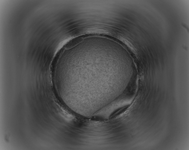 X0000091911022200709191316