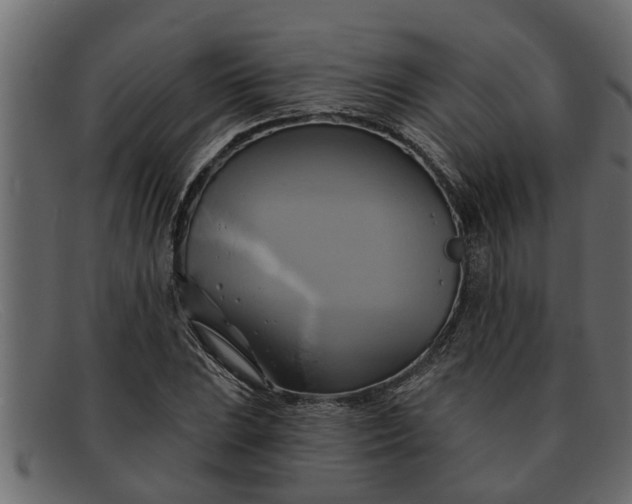 X0000091911023200709191316