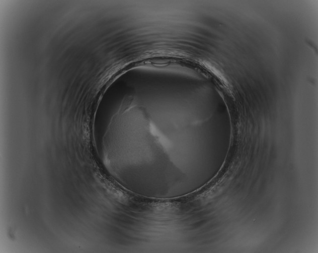 X0000091911025200709191316