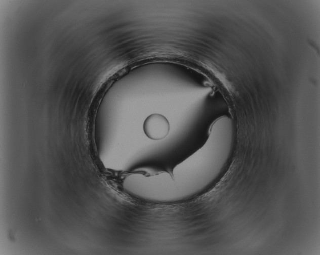 X0000091911026200709191316