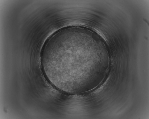 X0000091911029200709191316