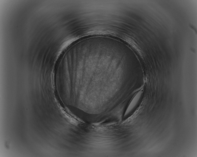 X0000091911030200709191316