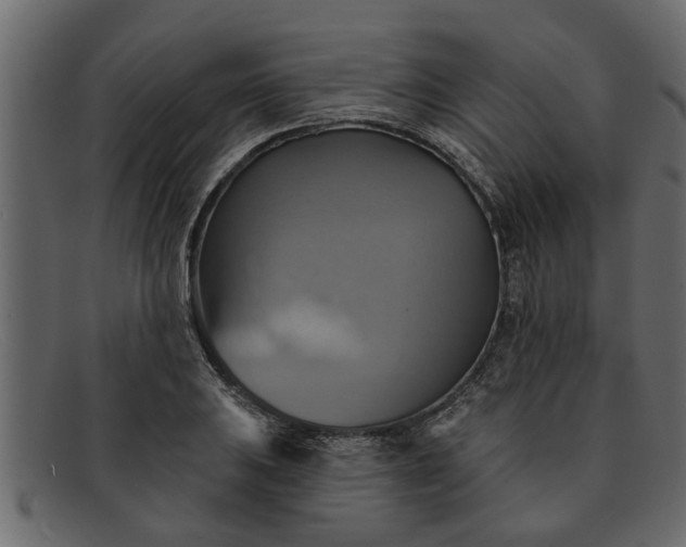 X0000091911031200709191316