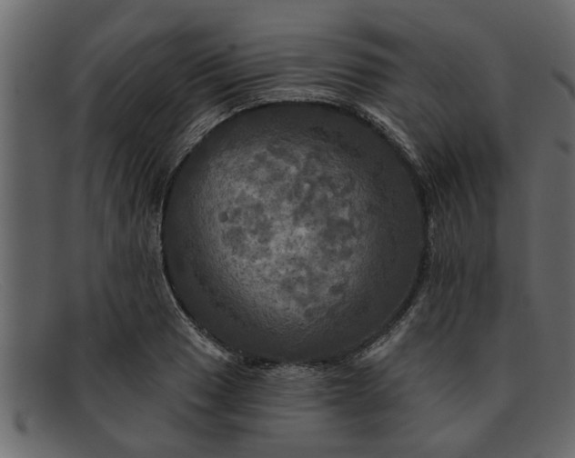 X0000091911033200709191316