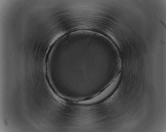 X0000091911034200709191316