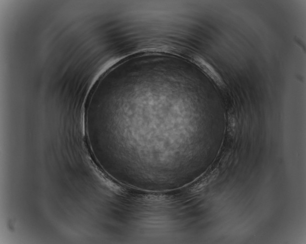 X0000091911036200709191316