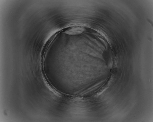 X0000091911038200709191316