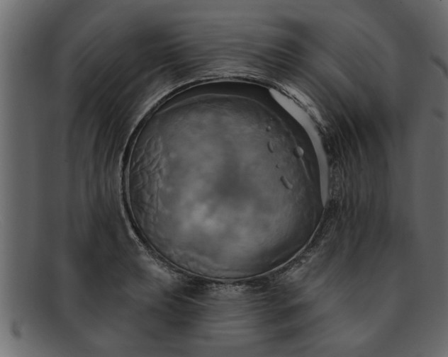 X0000091911039200709191316