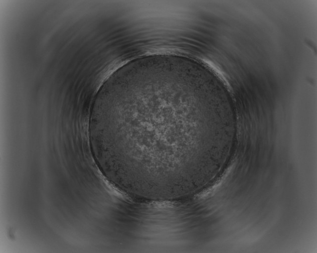 X0000091911041200709191316