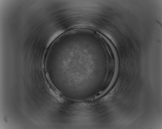 X0000091911042200709191316