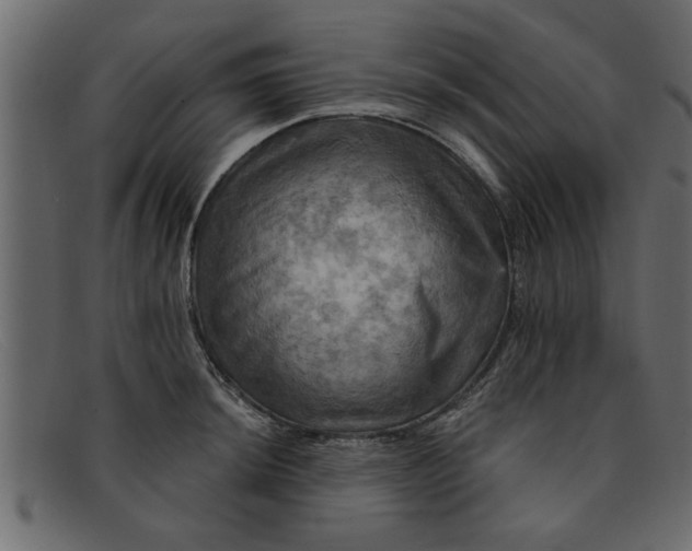 X0000091911044200709191316