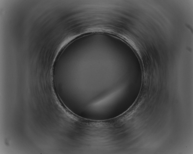 X0000091911045200709191316