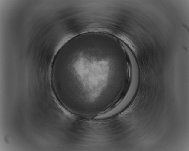 X0000091911046200709191316