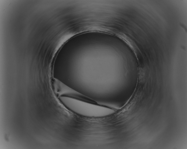 X0000091911048200709191316