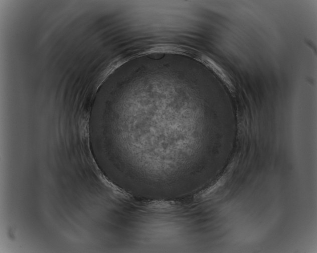 X0000091911049200709191316