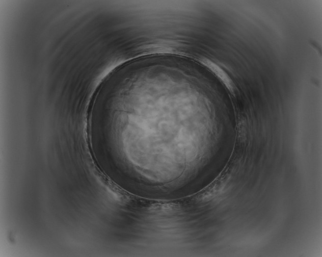 X0000091911051200709191316