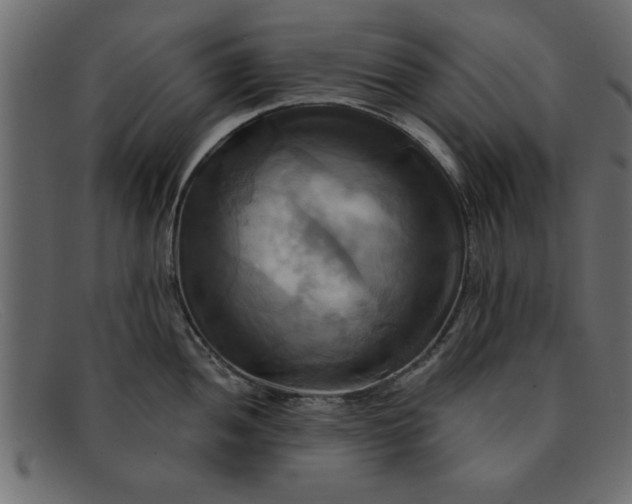 X0000091911052200709191316