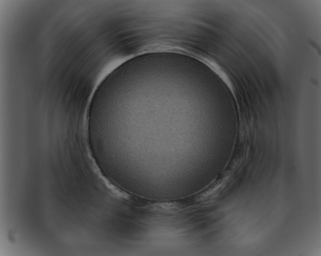 X0000091911053200709191316