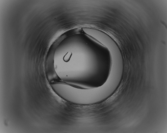 X0000091911054200709191316