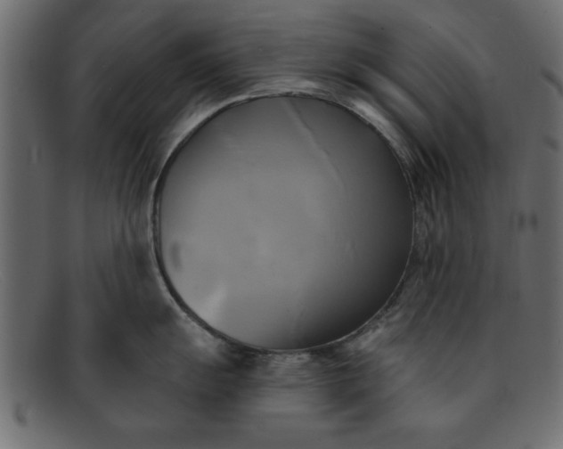 X0000091911055200709191316