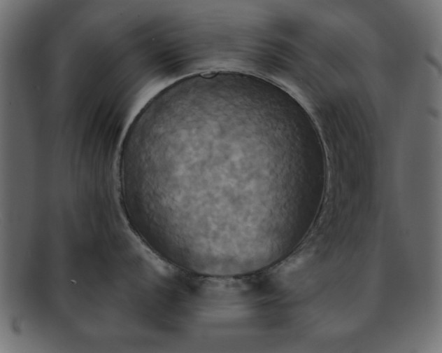 X0000091911056200709191316