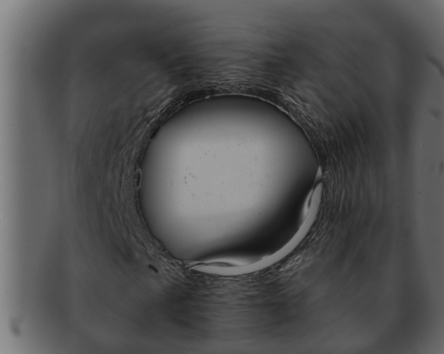 X0000091911057200709191316