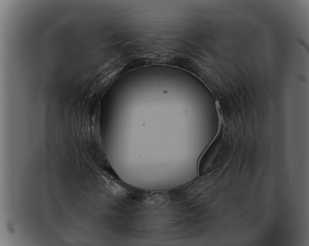 X0000091911058200709191315