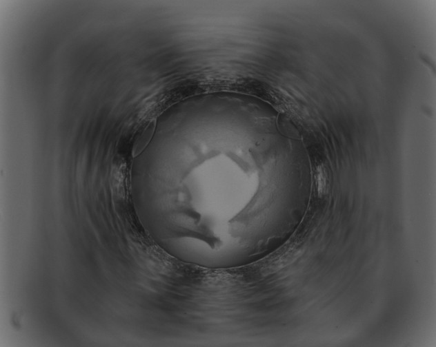 X0000091911059200709191315