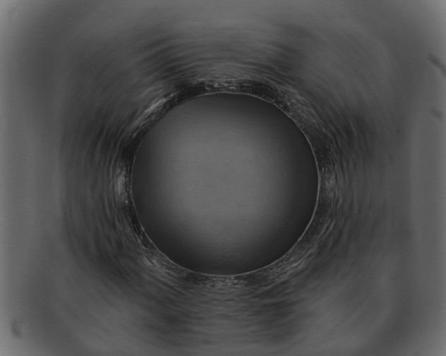 X0000091911060200709191315