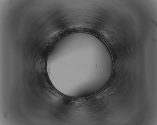 X0000091911062200709191315