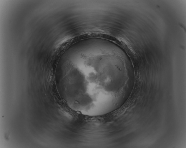 X0000091911063200709191315