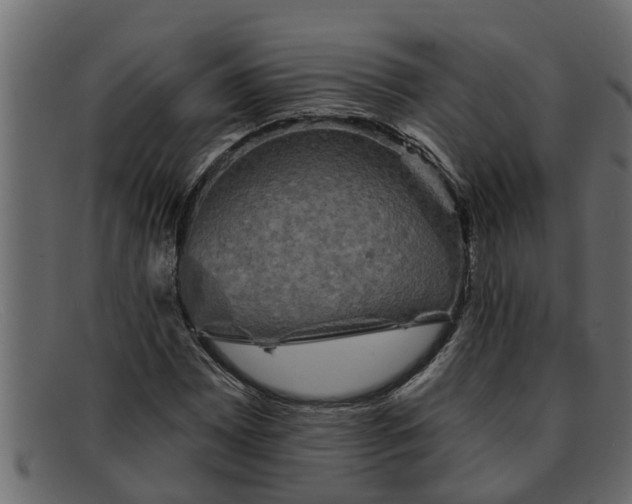 X0000091911065200709191315