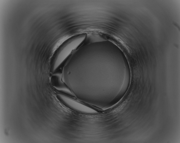 X0000091911066200709191315