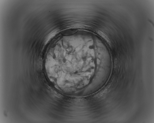 X0000091911067200709191315