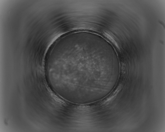 X0000091911068200709191315