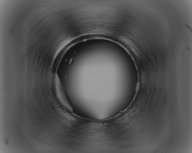 X0000091911069200709191315