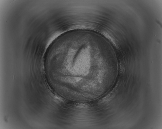 X0000091911070200709191315